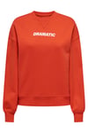 Onlsofia Baskılı Streç Pamuklu Regular Fit Bisiklet Yaka Kadın Sweat 15329876 ORANGE