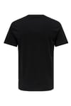 Only & Sons Onsmax % 100 Pamuk Regular Fit Bisiklet Yaka Erkek T Shirt 22025208 SİYAH