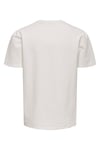 Onskian Pamuklu Regular Fit Bisiklet Yaka Erkek T Shirt 22028692 EKRU