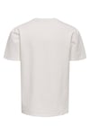 Onskian Pamuklu Regular Fit Bisiklet Yaka Erkek T Shirt 22028692 EKRU
