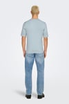 Onswyler Regular Fit Bisiklet Yaka Erkek T Shirt 22022928 AÇIK MAVİ