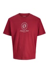 Originals Jordia Baskılı Pamuklu Relaxed Fit Bisiklet Yaka Erkek T Shirt 12286609 BORDO