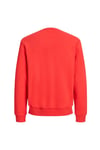 Originals Jorlogo Pamuklu Relaxed Fit Logolu Bisiklet Yaka Erkek Sweat 12290659 MERCAN
