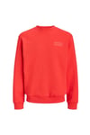 Originals Jorlogo Pamuklu Relaxed Fit Logolu Bisiklet Yaka Erkek Sweat 12290659 MERCAN