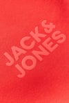 Originals Jorlogo Pamuklu Relaxed Fit Logolu Bisiklet Yaka Erkek Sweat 12290659 MERCAN