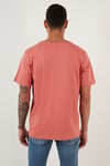 Pamuklu Bisiklet Yaka Basic Erkek T Shirt 59020001 KİREMİT