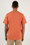 Pamuklu Bisiklet Yaka Basic Erkek T Shirt 59020001 Tarçın