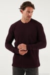 Pamuklu Bisiklet Yaka Normal Kalıp Basic Erkek Sweat 5905073 VİŞNE