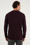 Pamuklu Bisiklet Yaka Normal Kalıp Basic Erkek Sweat 5905073 VİŞNE
