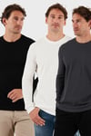 Pamuklu Bisklet Yaka Normal Kalıp Basic 3'lü Paket Erkek Sweat 5905073S3 Ekru-Antrasit-Siyah