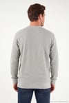 Pamuklu Regular Fit Bisiklet Yaka Dokulu Erkek Sweat 5905866 TAŞ