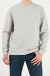 Pamuklu Regular Fit Bisiklet Yaka Dokulu Erkek Sweat 5905866 TAŞ