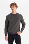 Pamuklu Regular Fit Bisiklet Yaka Erkek Sweat GW2520255 33W ANTRASİT