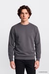 Pamuklu Regular Fit Bisiklet Yaka Erkek Sweat L2520308 003 ANTRASİT
