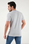 Pamuklu Regular Fit Bisiklet Yaka Erkek T Shirt 5904027 MAVİ