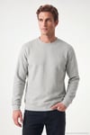Pamuklu Regular Fit Bisiklet Yaka Erkek Sweat 5905965 Kül