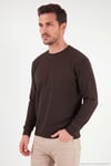 Pamuklu Regular Fit Bisiklet Yaka Erkek Sweat 5905965 KAHVE