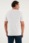 Pamuklu Regular Fit Bisiklet Yaka Erkek T Shirt 59020204 EKRU