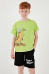 Pamuklu Regular Fit Bisiklet Yaka Şortlu Alt-Üst Erkek Çocuk Takım 6212009 FISTIK