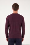 Pamuklu Regular Fit Düğmeli Bisiklet Yaka Erkek Sweat 5905852 VİŞNE