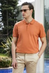 Pamuklu Regular Fit Düğmeli Erkek Polo Yaka T Shirt 5902127 Tarçın