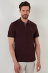 Pamuklu Regular Fit Düğmeli Polo Yaka 5'li Paket Erkek T Shirt 590211827S5 Vişne-Antrasit-Hakisarı-Beyaz-Mavi