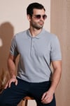 Pamuklu Regular Fit Düğmeli Polo Yaka 5'li Paket Erkek T Shirt 5902127S5 Gri Melanj-Tarçın-Elma Yeşili-Koyu Mavi-Kül