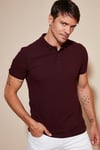 Pamuklu Regular Fit Düğmeli Polo Yaka 3'lü Paket Erkek T Shirt 5902127S3 Vişne-Antrasit-Haki