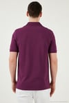 Pamuklu Regular Fit Yarım Fermuarlı Erkek Polo Yaka T Shirt 5903008 MÜRDÜM