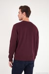 Pamuklu Relaxed Fit Bisiklet Yaka Erkek Sweat 5901257 VİŞNE