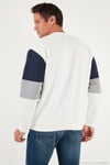 Pamuklu Relaxed Fit Bisiklet Yaka Şardonlu Renk Bloklu Erkek Sweat 5905298T EKRU