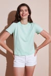 Pamuklu Slim Fit Bisiklet Yaka Minimal İşleme Detaylı Kadın T Shirt 5866398 MİNT