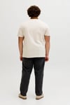 Plus Büyük Beden Pamuklu Regular Fit Bisiklet Yaka Erkek T Shirt 12289683 TAŞ