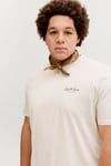 Plus Büyük Beden Pamuklu Regular Fit Bisiklet Yaka Erkek T Shirt 12289683 TAŞ