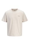 Plus Büyük Beden Pamuklu Regular Fit Bisiklet Yaka Erkek T Shirt 12289683 TAŞ