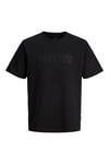 Premium Jprblaethan Pamuklu Regular Fit Logolu Erkek T Shirt 12292403 SİYAH