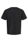 Premium Jprblaneo % 100 Pamuk Normal Kalıp Baskılı Bisiklet Yaka Erkek T Shirt 12298018 SİYAH
