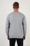 Regular Fit Bisiklet Yaka Şardonlu 2'li Paket Erkek Sweat 5905255S2 ELMA-AÇIK GRİ