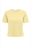 rex % 100 Pamuk Regular Fit Yuvarlak Yaka Kadın T Shirt 15344612 SARI