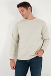 Streç Pamuklu Relaxed Fit Bisiklet Yaka Erkek Sweat 5901210 TAŞ
