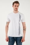 U.S. Polo % 100 Pamuk Regular Fit Bisiklet Yaka Şerit Logolu Erkek T Shirt G081SZ0112104061 BEYAZ