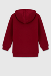 United Colors Of Benetton Logolu Pamuklu Regular Fit Kapüşonlu Erkek Çocuk Sweat BNTB23341 BORDO