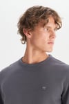 Wrangler Pamuklu Regular Fit Bisiklet Yaka Erkek Sweat MW242262 035 GRİ