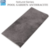 Porselen Flat Tutamak 25x50 cm - Pool Garden AnthracitePorselen TutamakSerapoolPGA2550FH