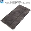 Porselen Tutamak 25x50 cm - Pool Garden AnthracitePorselen TutamakSerapoolPGAH