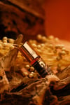 KAABA COVER 6 ml Roll On Esans