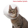 Tales Click Collar Yakalık Şeffaf 50 MM (Yavru Kediler İçin)
