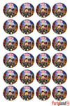 Roblox 5 cm. Yapışkanlı Yuvarlak Etiket - Sticker 24 Adet