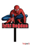 Spiderman Örümcek Adam 8 Kişilik Lüks Doğum Günü Parti Seti
