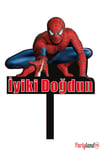 Spiderman Örümcek Adam Temalı Karton Pasta Süsü